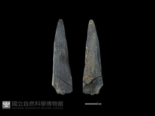 矛鏃形器藏品圖，第1張