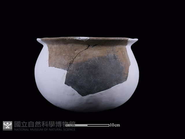 陶盆藏品圖，第1張