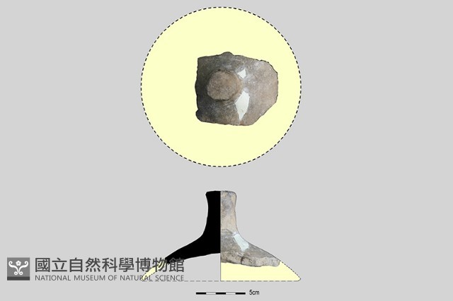陶蓋鈕藏品圖，第3張