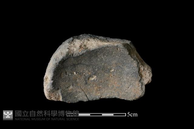 陶蓋鈕藏品圖，第2張