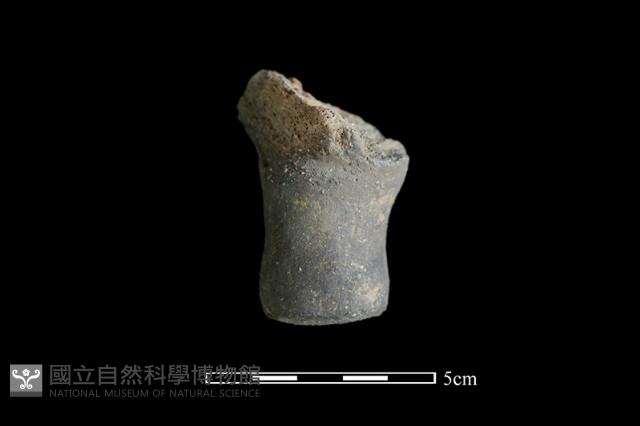 陶蓋鈕藏品圖，第2張