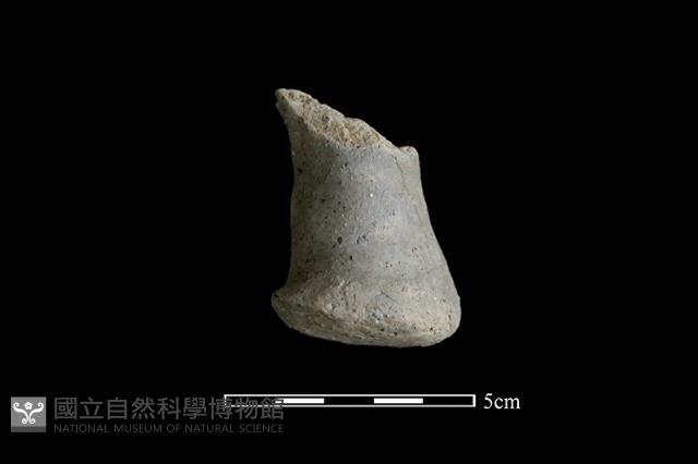 陶蓋鈕藏品圖，第1張