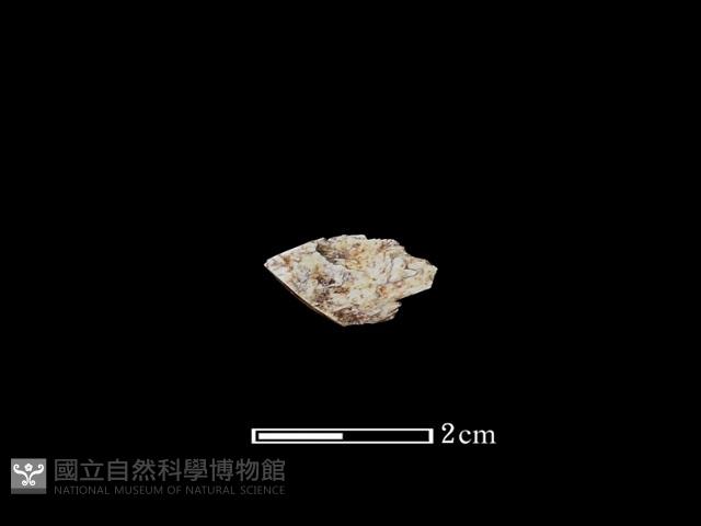 玉材藏品圖，第2張