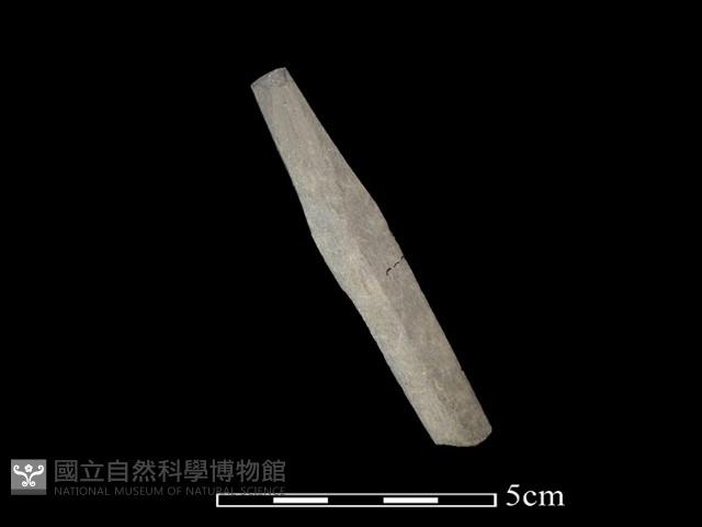 矛鏃形器藏品圖，第2張