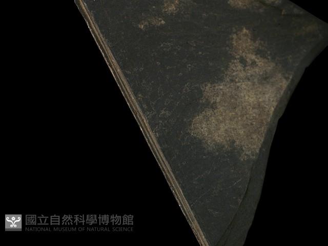 帶加工痕石材藏品圖，第1張