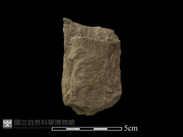 斧鋤形器藏品圖，第2張