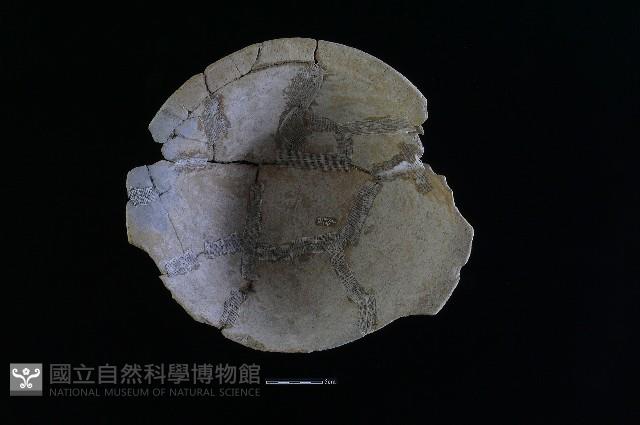 陶盆藏品圖，第2張