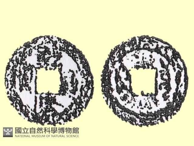銅錢藏品圖，第2張