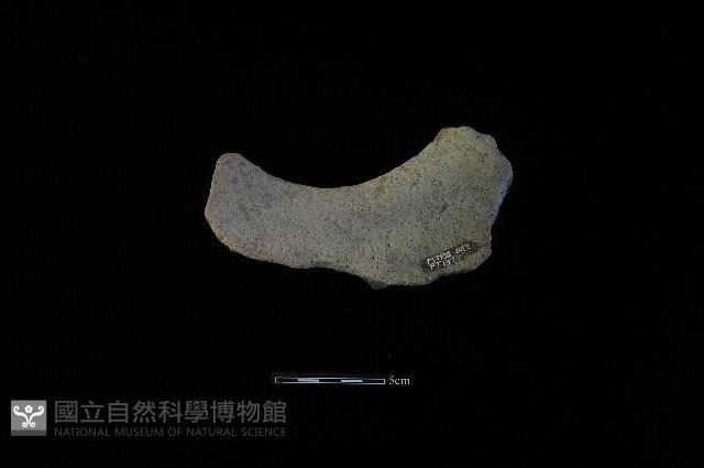 陶罐藏品圖，第1張