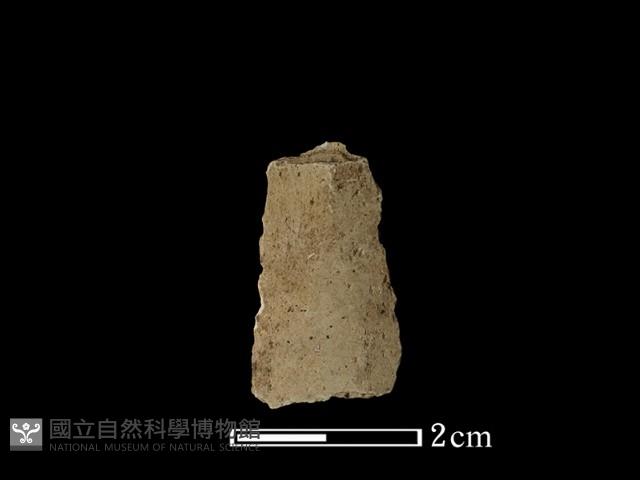 矛鏃形器藏品圖，第2張