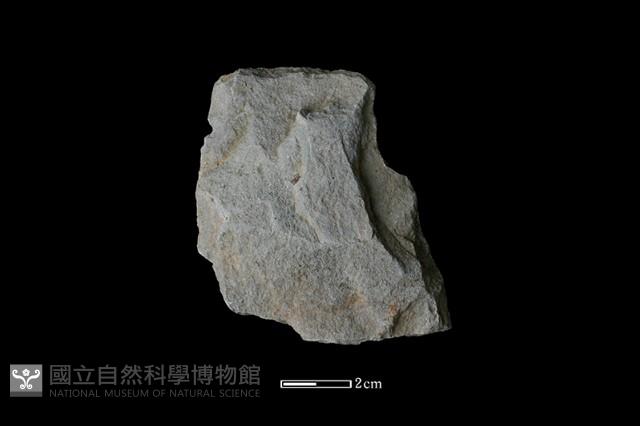 Accession Number:SL004 Collection Image, Figure 1, Total 2 Figures