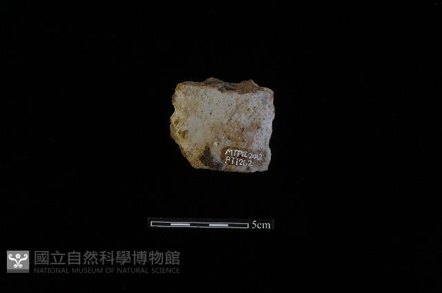 陶蓋鈕藏品圖，第1張