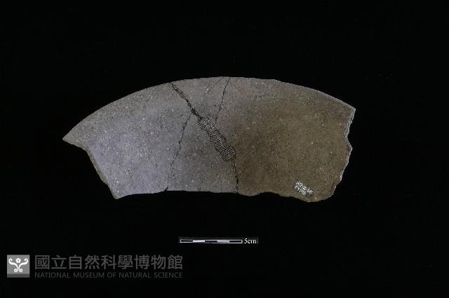 陶盆藏品圖，第1張