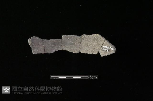 陶罐藏品圖，第1張