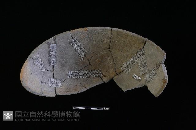 陶缽藏品圖，第3張