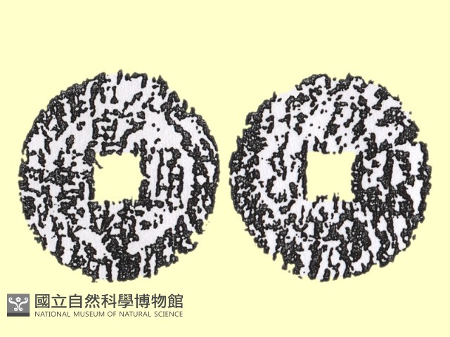 銅錢藏品圖，第1張