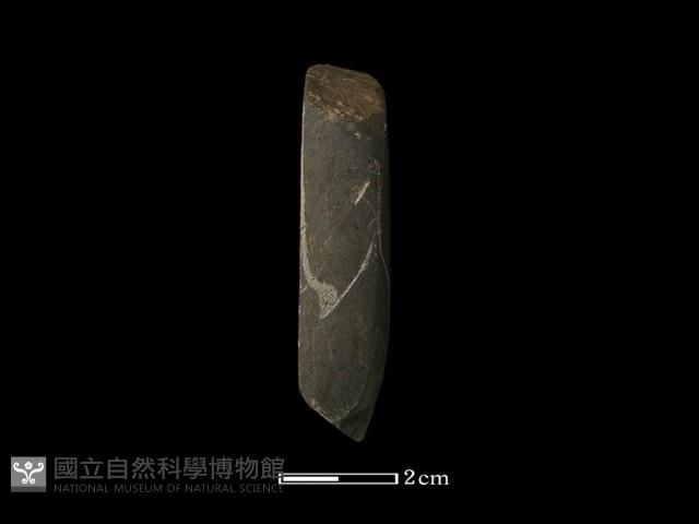 錛鑿形器藏品圖，第2張