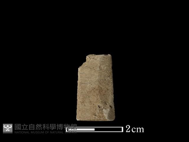 矛鏃形器藏品圖，第2張