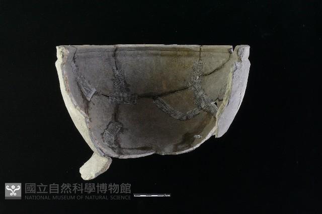 陶缽藏品圖，第1張