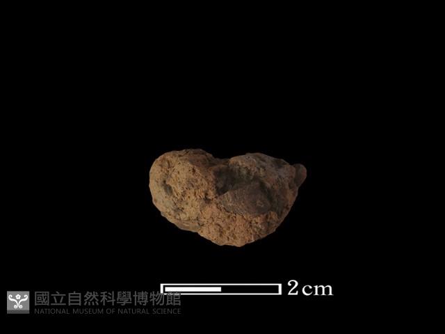 陶紡輪藏品圖，第3張