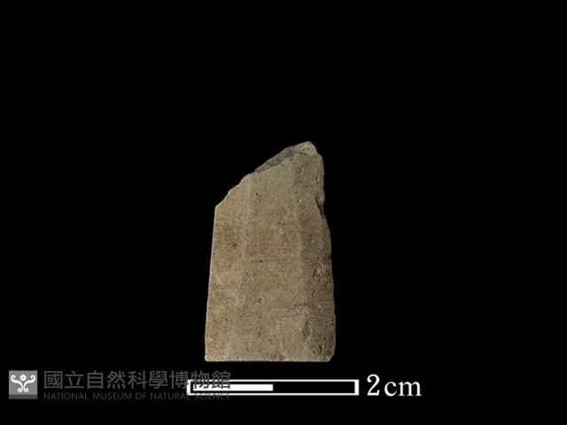 矛鏃形器藏品圖，第1張