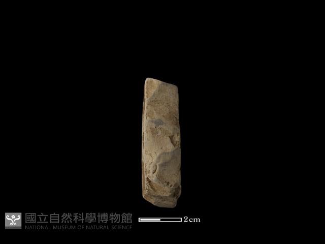 錛鑿形器藏品圖，第2張