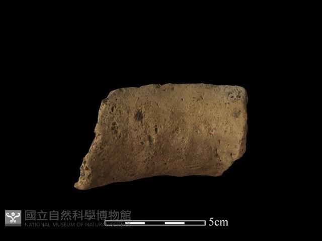 陶罐藏品圖，第2張