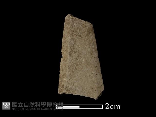 矛鏃形器藏品圖，第2張