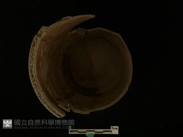 陶罐藏品圖，第2張