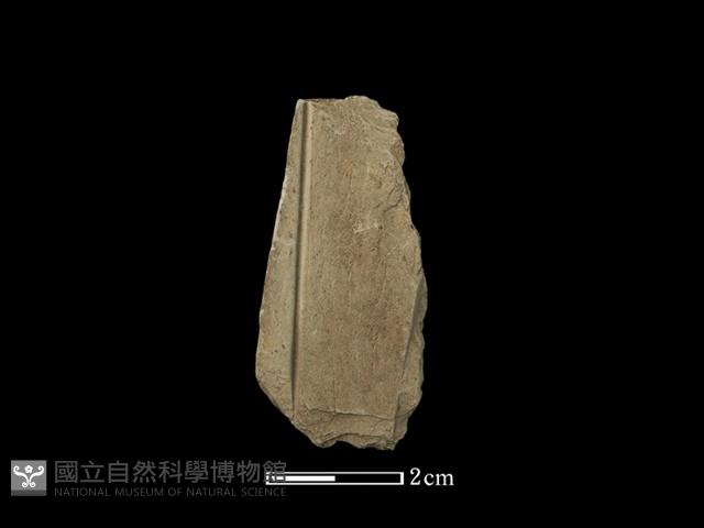 帶加工痕石材藏品圖，第2張