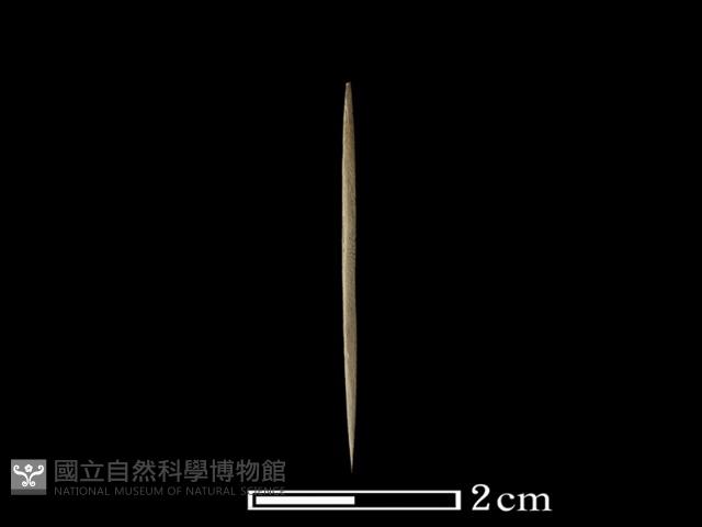 矛鏃形器藏品圖，第1張