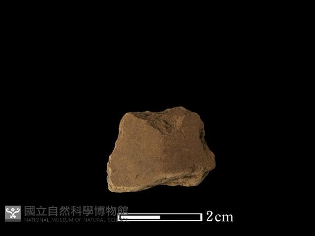 矛鏃形器藏品圖，第1張