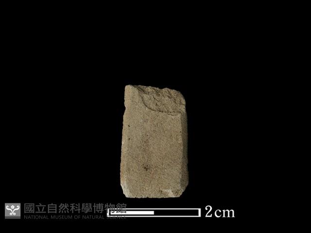 矛鏃形器藏品圖，第2張