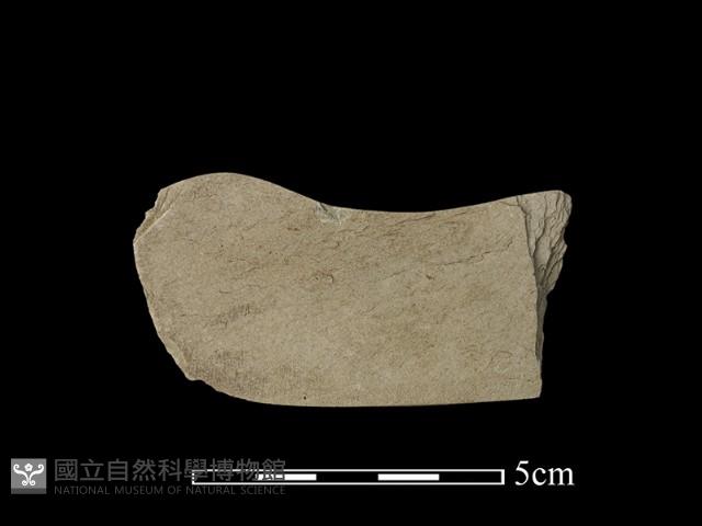 石刀藏品圖，第1張