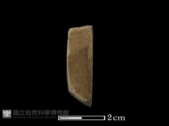 錛鑿形器藏品圖，第3張