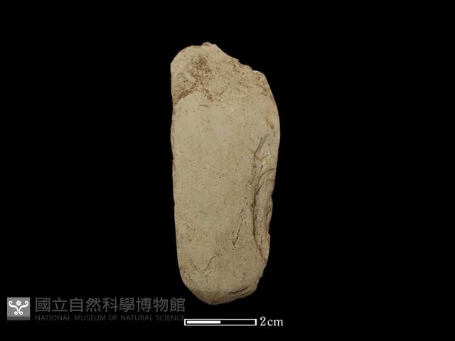 錛鑿形器藏品圖，第2張