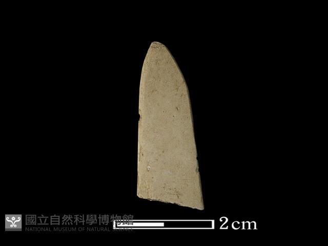 矛鏃形器藏品圖，第2張