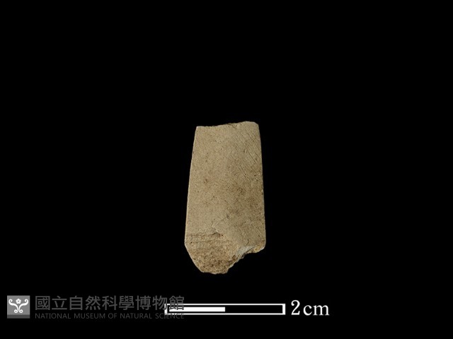 矛鏃形器藏品圖，第2張