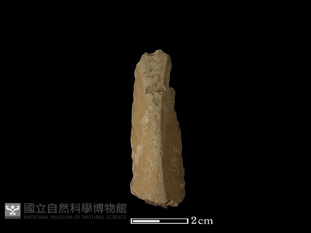 矛鏃形器藏品圖，第2張
