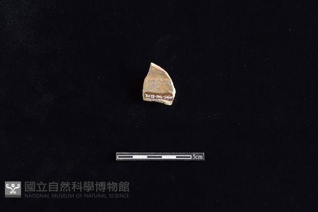 硬陶片藏品圖，第2張