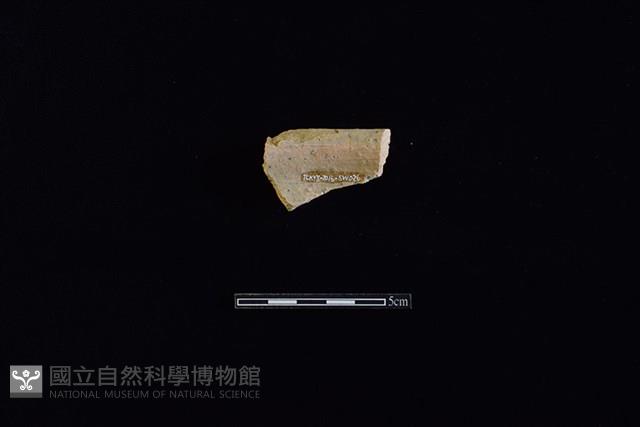 硬陶片藏品圖，第2張