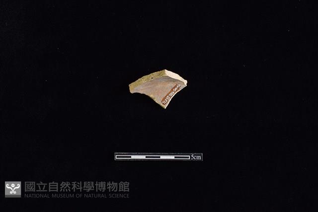 硬陶片藏品圖，第2張