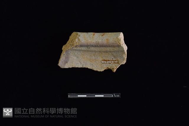 缸藏品圖，第2張