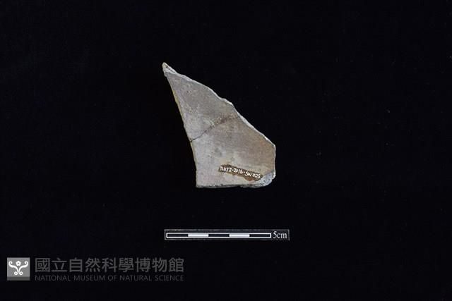 硬陶片藏品圖，第2張