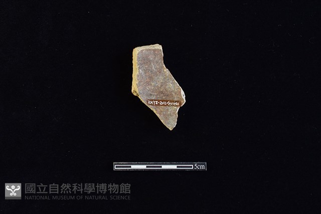 硬陶片藏品圖，第2張