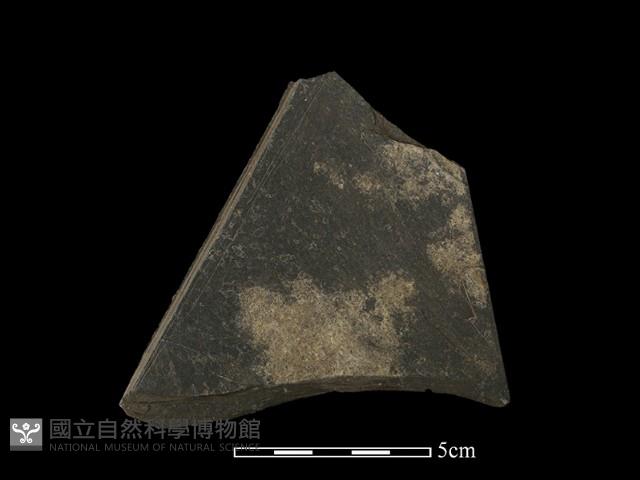 帶加工痕石材藏品圖，第2張