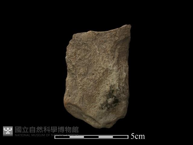 斧鋤形器藏品圖，第1張