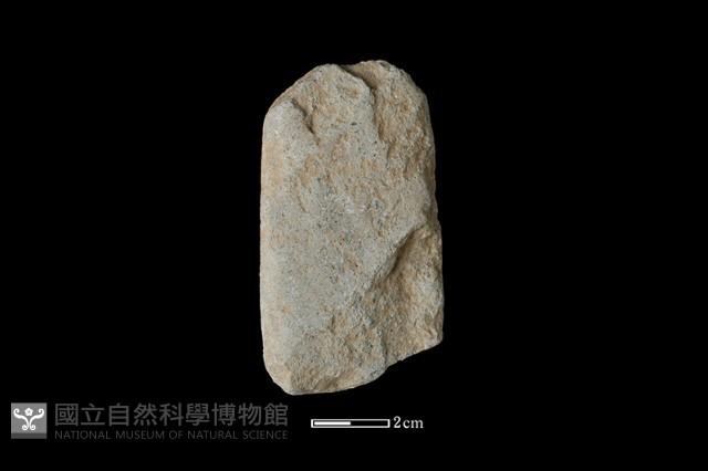 錛鑿形器藏品圖，第1張