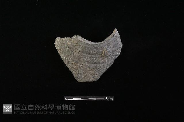 陶罐藏品圖，第2張