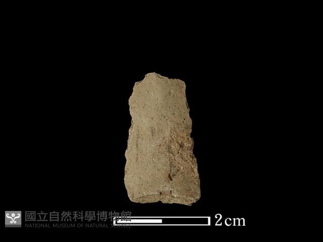 矛鏃形器藏品圖，第1張